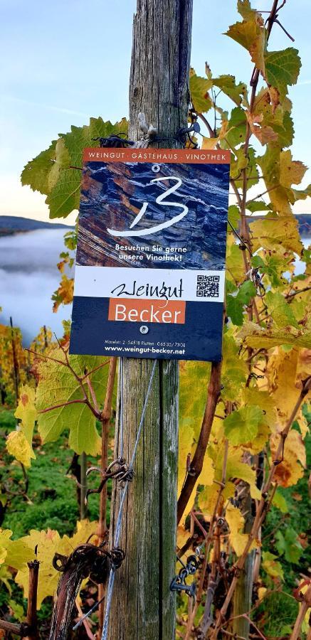 Weingut U. Gaestehaus Becker Platten Eksteriør bilde
